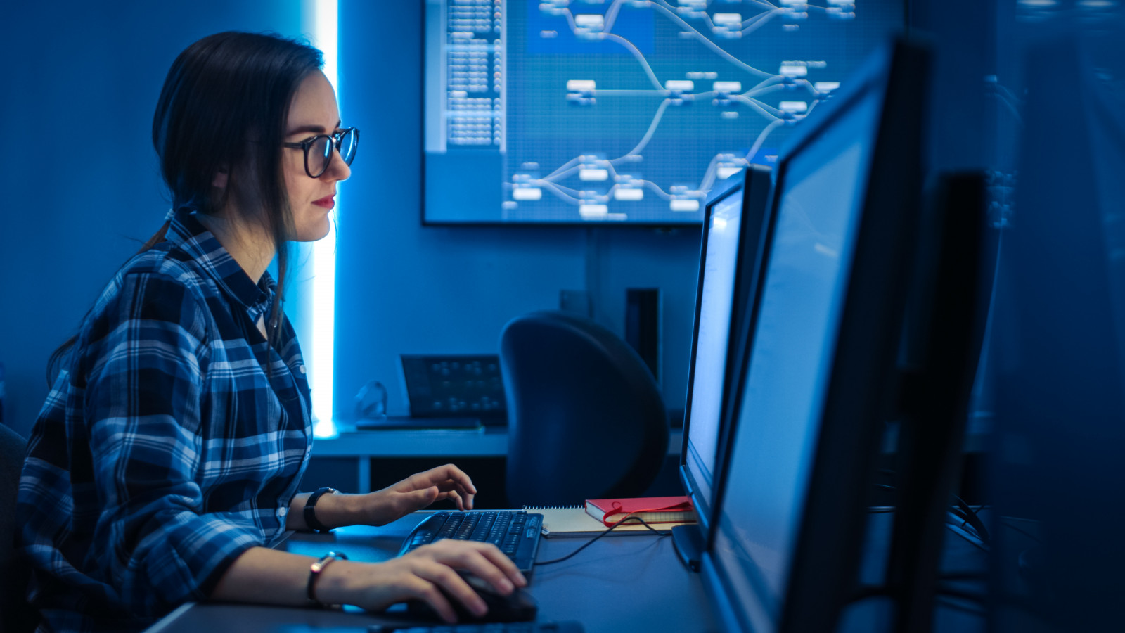 Data Scientist am PC